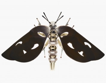 Vogue Insects – The Little Creatures of Spring